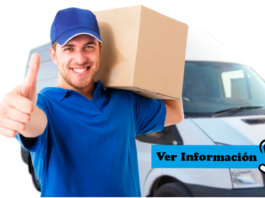 chófer de reparto