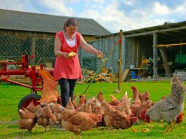 SE REQUIERE TRABAJADOR DE GRANJA PARA JORNADA DE TIEMPO COMPLETO